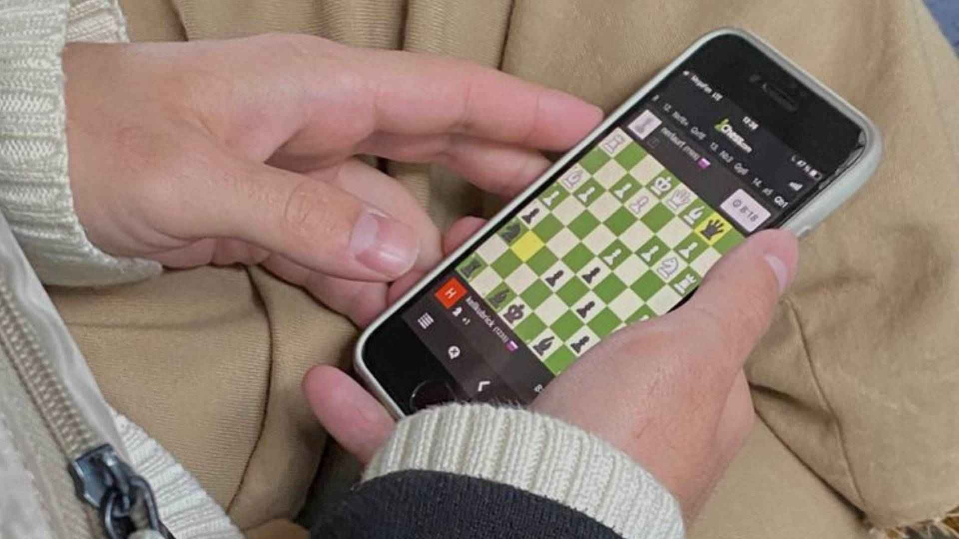 Bridge Games That Build Winning Competitive Habits